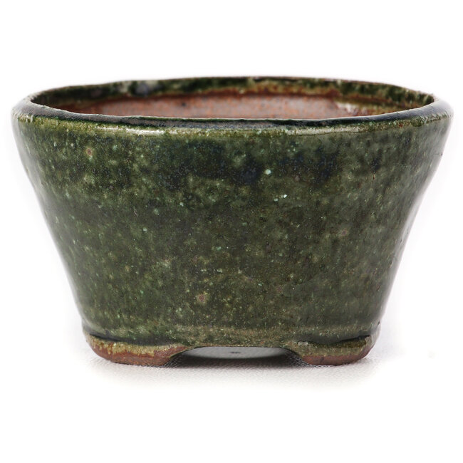 Maceta de bonsái verde redonda de Bonsai - 70 x 70 x 40 mm