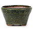 Round green bonsai pot by Bonsai - 70 x 70 x 40 mm