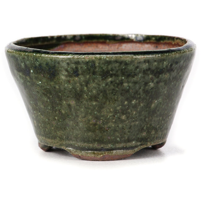 Maceta de bonsái verde redonda de Bonsai - 70 x 70 x 40 mm