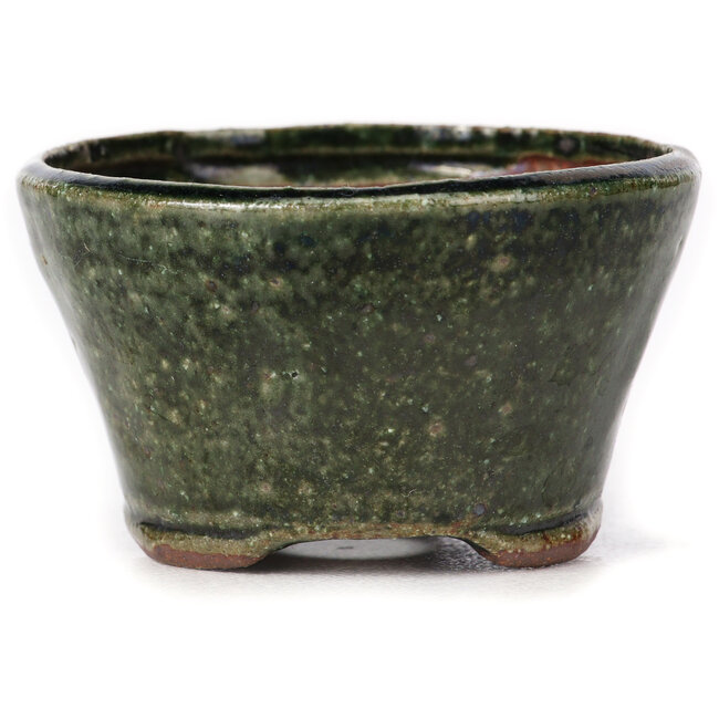 Vaso bonsai rotondo verde di Bonsai - 70 x 70 x 40 mm
