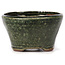Pot à bonsaï rond vert par Bonsai - 70 x 70 x 40 mm