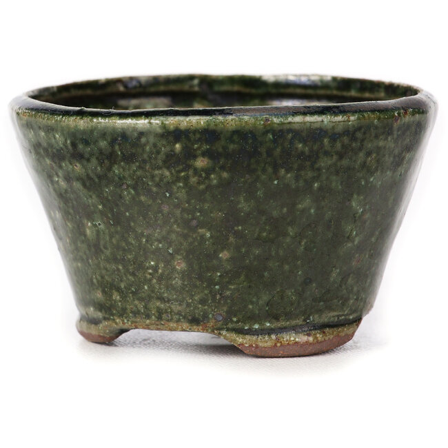 Vaso bonsai rotondo verde di Bonsai - 70 x 70 x 40 mm