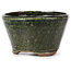 Pot à bonsaï rond vert par Bonsai - 70 x 70 x 40 mm