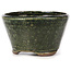 Round green bonsai pot by Bonsai - 70 x 70 x 40 mm