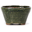 Round green bonsai pot by Bonsai - 70 x 70 x 40 mm