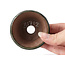 Pot à bonsaï rond vert par Bonsai - 70 x 70 x 40 mm
