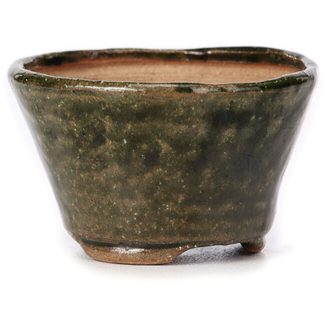 Round green bonsai pot by Bonsai - 70 x 70 x 45 mm