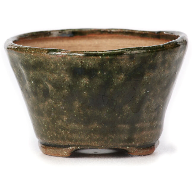 Pot à bonsaï rond vert par Bonsai - 70 x 70 x 45 mm