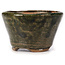 Ronde groene bonsai pot van Bonsai - 70 x 70 x 45 mm