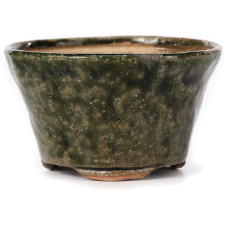 Bonsai Pot à bonsaï vert rond de 75 mm par Bonsai, Japon