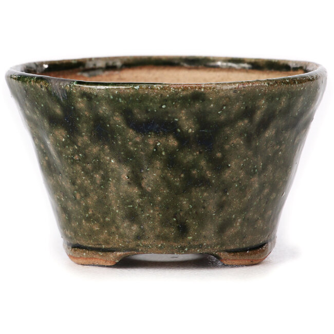 Ronde groene bonsai pot van Bonsai - 75 x 75 x 45 mm