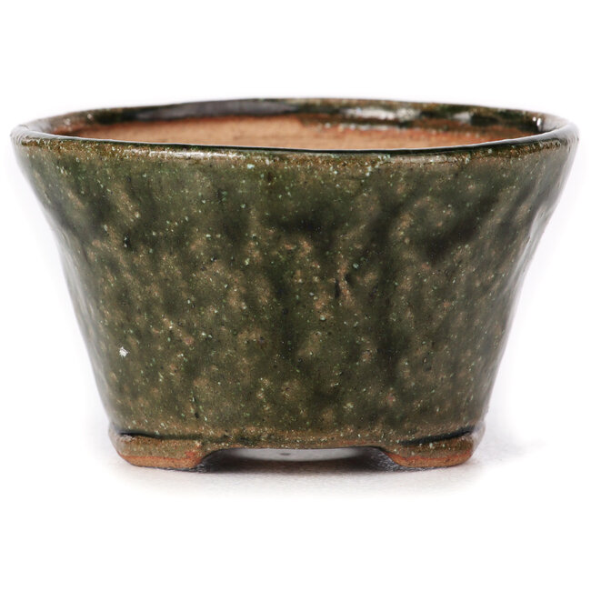 Vaso bonsai rotondo verde di Bonsai - 75 x 75 x 45 mm