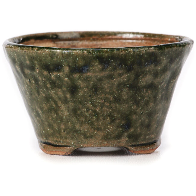 Maceta de bonsái verde redonda de Bonsai - 75 x 75 x 45 mm