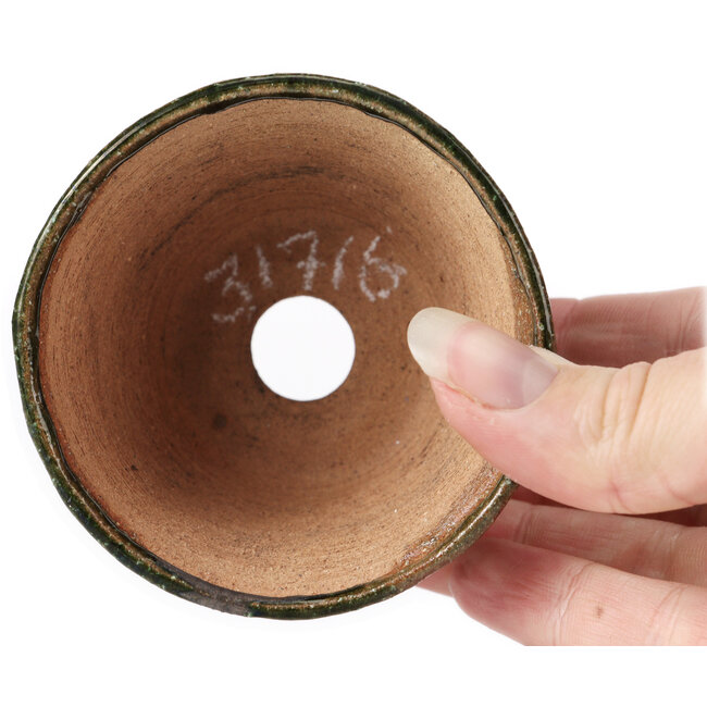 Pot à bonsaï rond vert par Bonsai - 75 x 75 x 45 mm