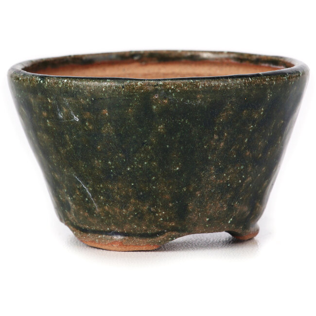 Vaso bonsai rotondo verde di Bonsai - 70 x 70 x 45 mm