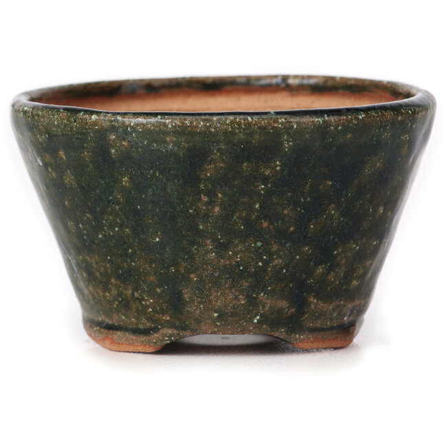 Ronde groene bonsai pot van Bonsai - 70 x 70 x 45 mm