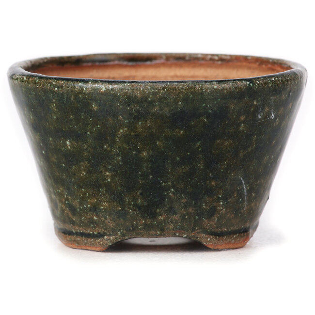 Runde grüne Bonsaischale von Bonsai - 70 x 70 x 45 mm