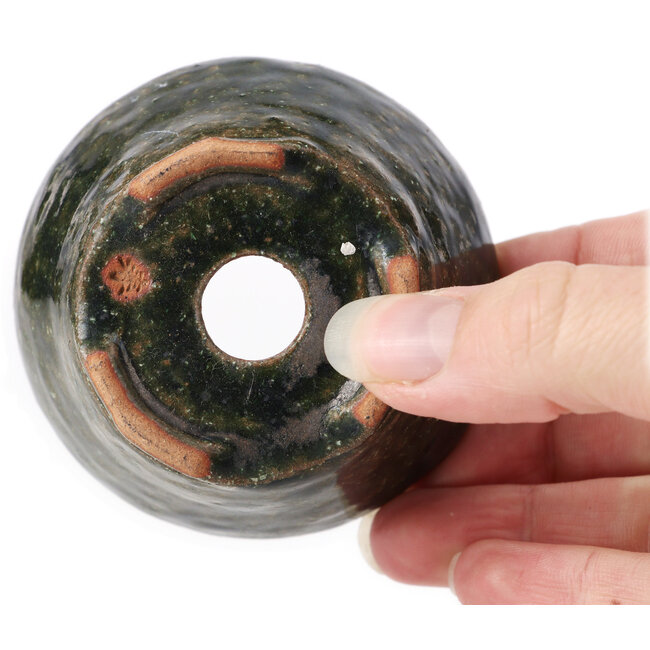 Pot à bonsaï rond vert par Bonsai - 70 x 70 x 45 mm