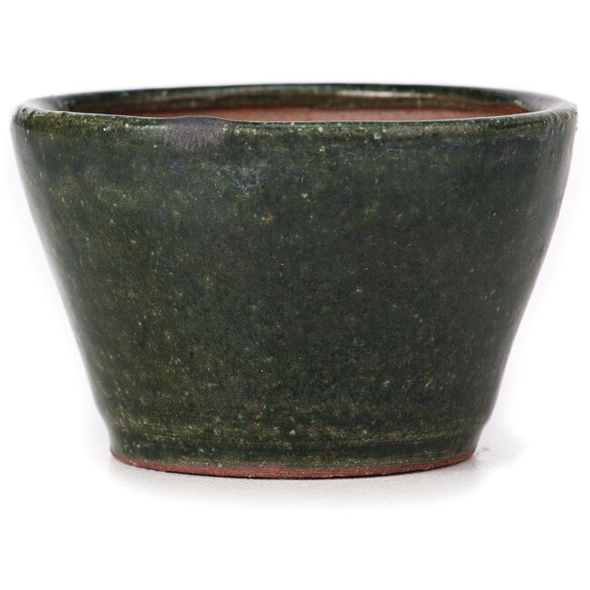 Runde grüne Bonsaischale von Bonsai - 75 x 75 x 45 mm