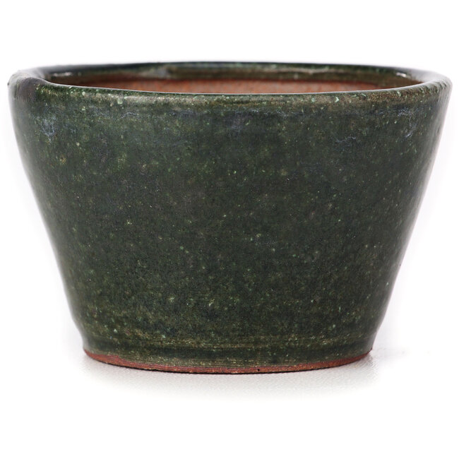 Maceta de bonsái verde redonda de Bonsai - 75 x 75 x 45 mm