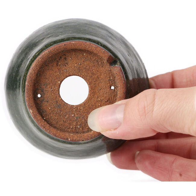 Pot à bonsaï rond vert par Bonsai - 75 x 75 x 45 mm