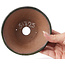 Pot à bonsaï rond vert par Bonsai - 130 x 130 x 55 mm