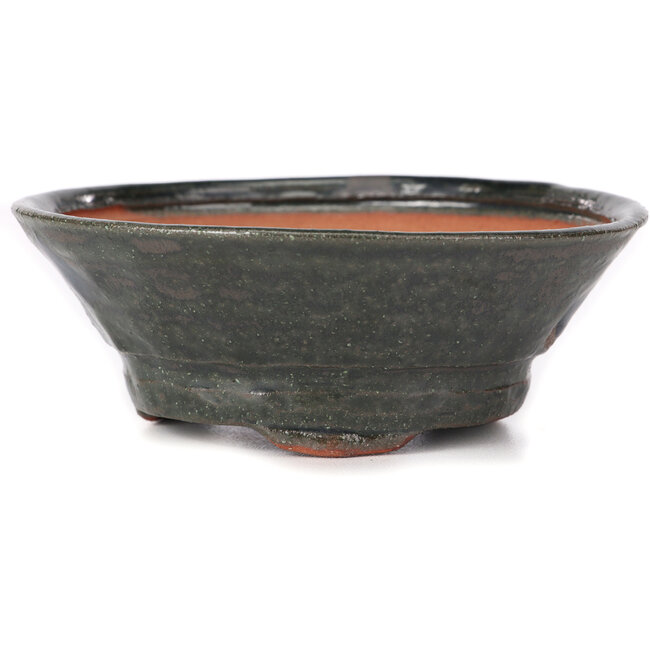 Ronde groene bonsai pot van Bonsai - 135 x 135 x 50 mm
