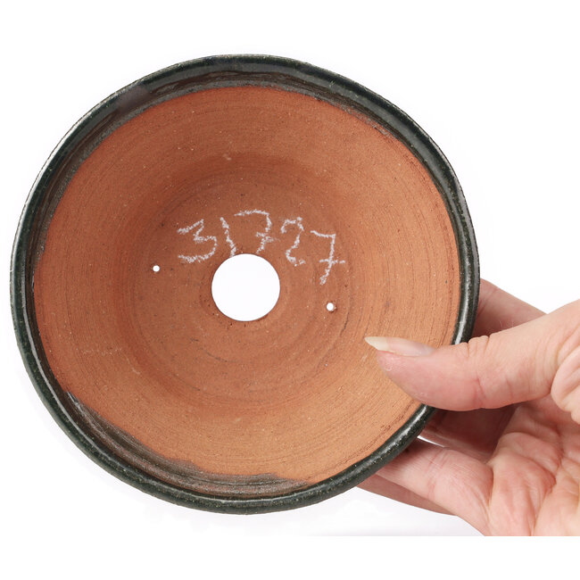 Pot à bonsaï rond vert par Bonsai - 135 x 135 x 50 mm