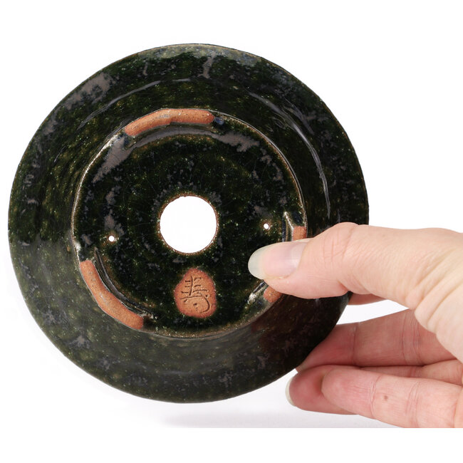 Vaso bonsai rotondo verde di Bonsai - 120 x 120 x 50 mm