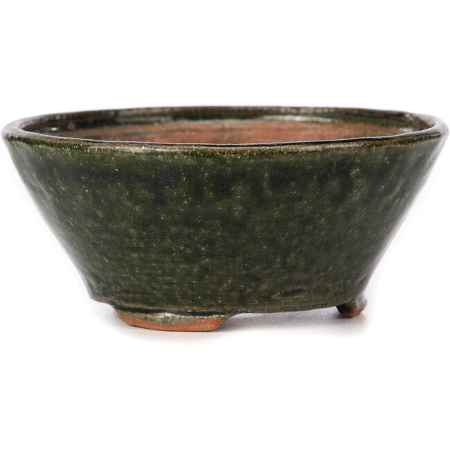 Pot à bonsaï rond vert par Bonsai - 125 x 125 x 55 mm