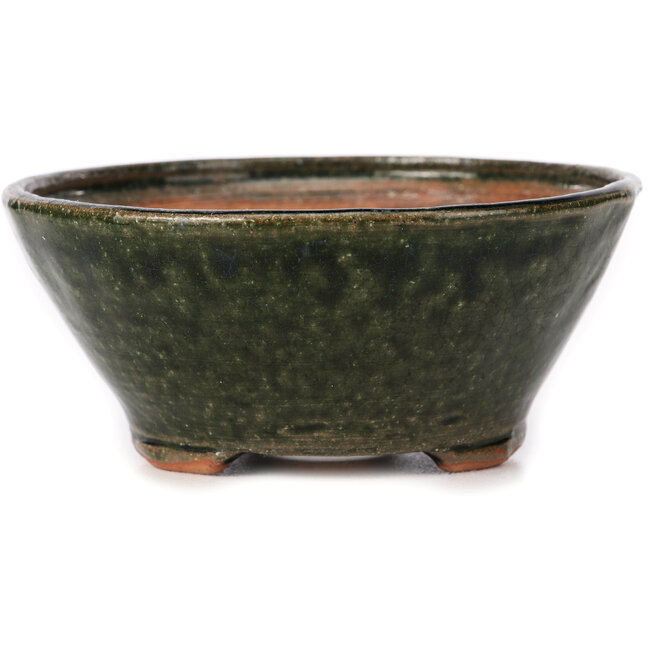 Vaso bonsai rotondo verde di Bonsai - 125 x 125 x 55 mm