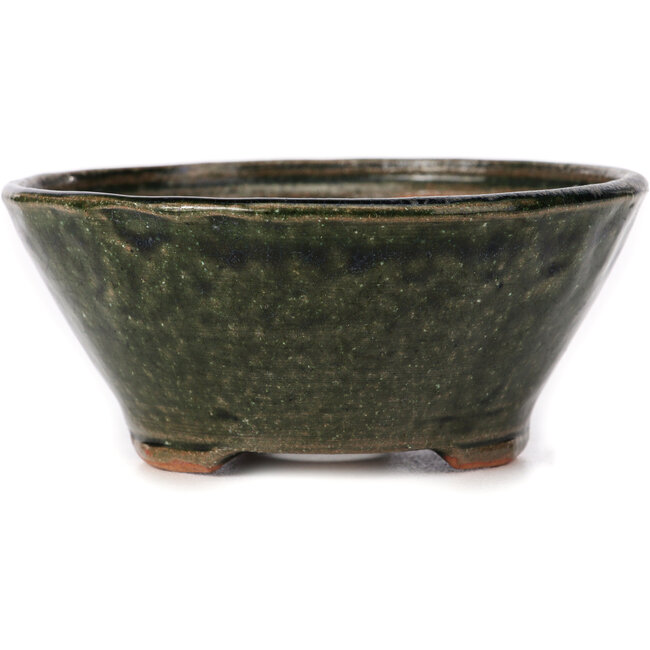 Maceta de bonsái verde redonda de Bonsai - 125 x 125 x 55 mm