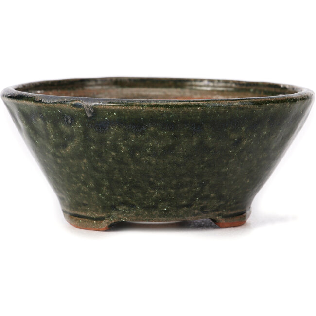 Pot à bonsaï rond vert par Bonsai - 125 x 125 x 55 mm