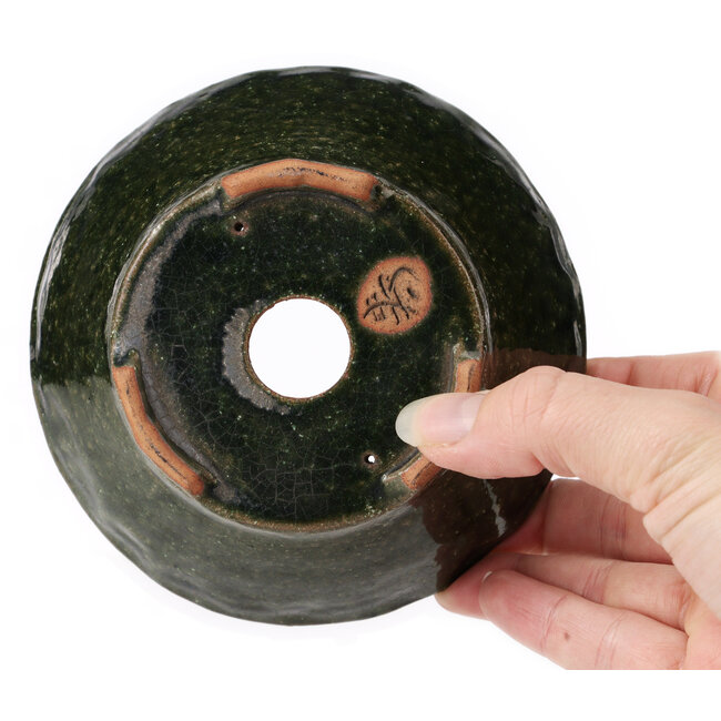 Pot à bonsaï rond vert par Bonsai - 125 x 125 x 55 mm