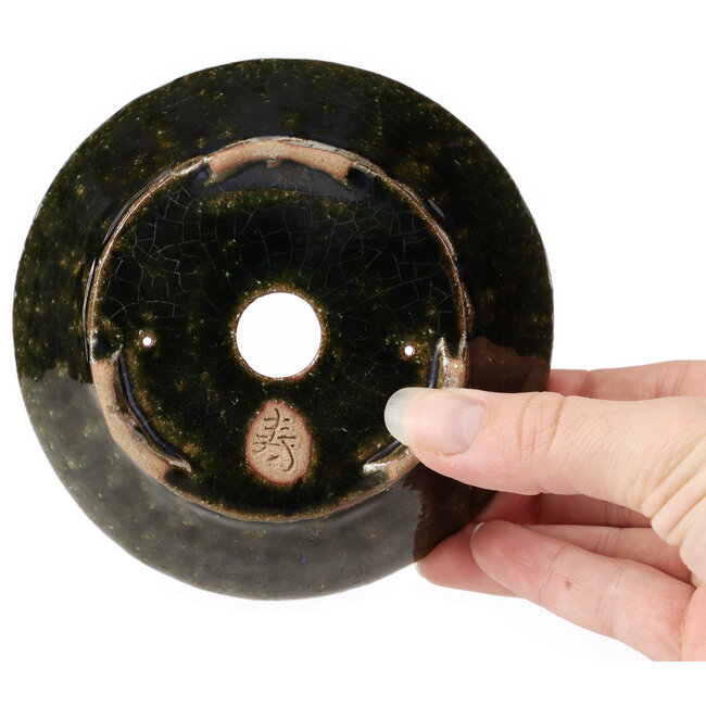 Vaso bonsai rotondo verde di Bonsai - 120 x 120 x 50 mm