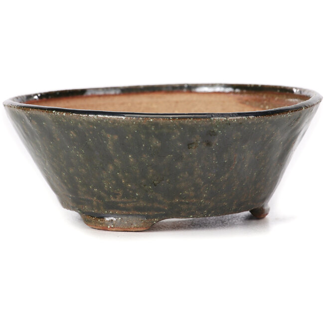 Vaso bonsai rotondo verde di Bonsai - 120 x 120 x 45 mm