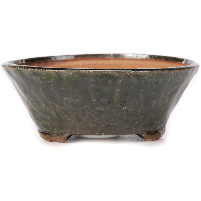 Pot à bonsaï rond vert par Bonsai - 120 x 120 x 45 mm