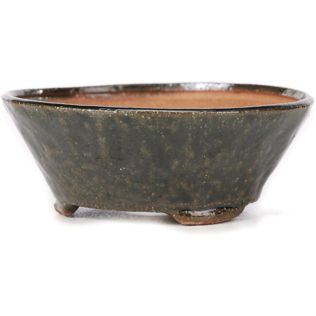 Vaso bonsai rotondo verde di Bonsai - 120 x 120 x 45 mm