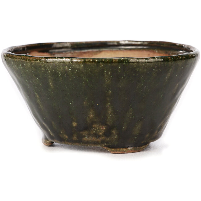 Maceta de bonsái verde redonda de Bonsai - 125 x 125 x 60 mm