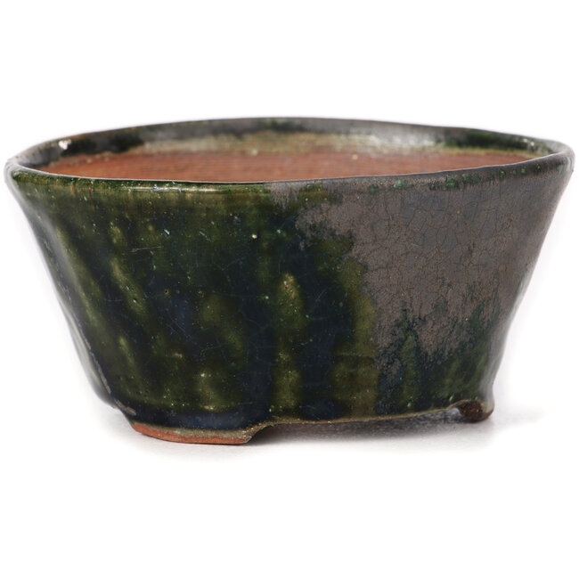 Maceta de bonsái verde redonda de Bonsai - 105 x 105 x 50 mm