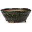 Round green bonsai pot by Bonsai - 125 x 125 x 50 mm