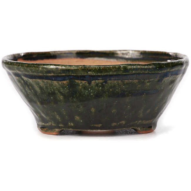 Vaso bonsai rotondo verde di Bonsai - 125 x 125 x 50 mm