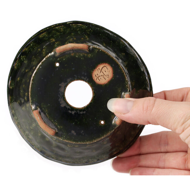 Maceta de bonsái verde redonda de Bonsai - 125 x 125 x 50 mm