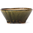 Pot à bonsaï rond vert par Bonsai - 110 x 110 x 45 mm