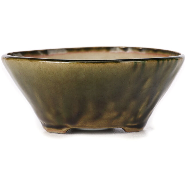 Maceta de bonsái verde redonda de Bonsai - 110 x 110 x 45 mm