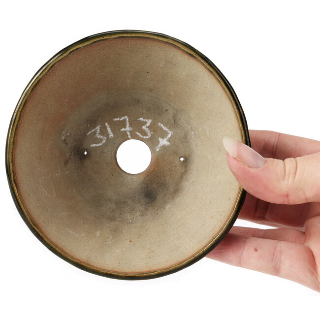 Maceta de bonsái verde redonda de Bonsai - 110 x 110 x 45 mm