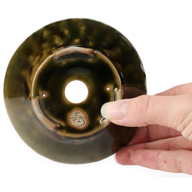 Pot à bonsaï rond vert par Bonsai - 110 x 110 x 45 mm