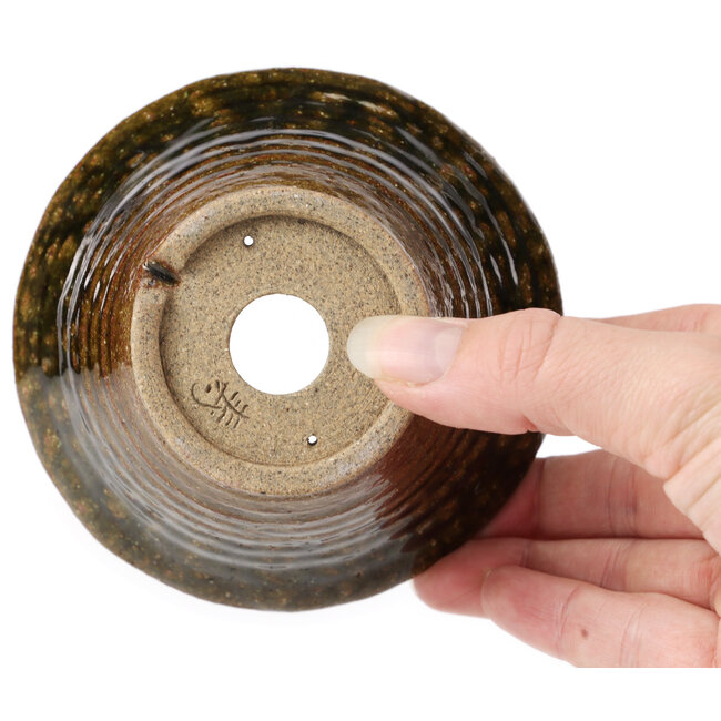 Vaso bonsai rotondo verde e marrone di Bonsai - 110 x 110 x 60 mm