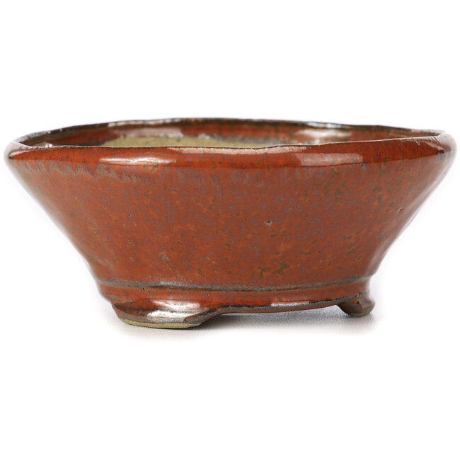 Pot à bonsaï rond brun rouge par Bonsai - 130 x 130 x 50 mm
