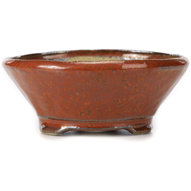 Pot à bonsaï rond brun rouge par Bonsai - 130 x 130 x 50 mm